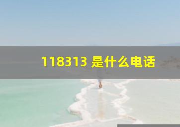 118313 是什么电话